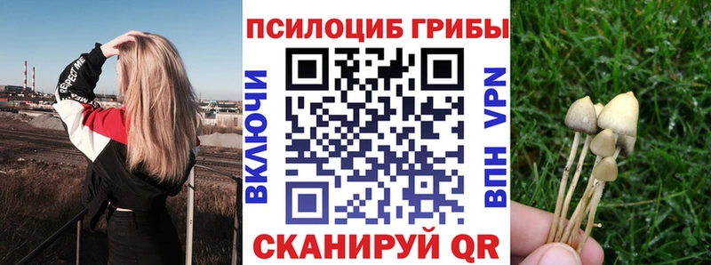 Купить закладки  Ленинск  Псилоцибиновые грибы Psilocybe 