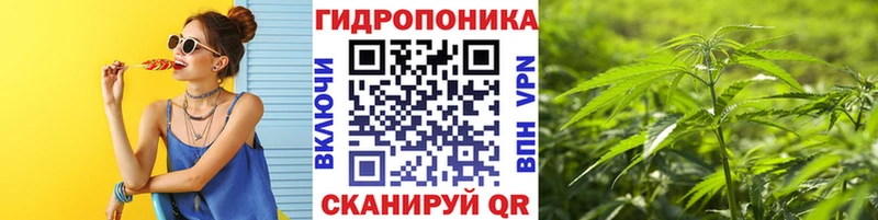Бошки Шишки ГИДРОПОН  Купить закладки  Ленинск 